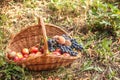 Basket with fruit on a green grass