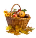 Basket with fruit and vegetables, isolated Royalty Free Stock Photo