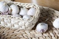 Basket ful of garlic Royalty Free Stock Photo