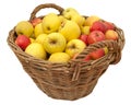 Basket full of apples