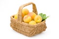 Basket full of apricots Royalty Free Stock Photo