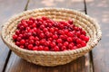 A basket full of bright red freshly picked early sweet cherries Royalty Free Stock Photo