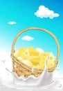 Basket full of cheese floating in milk splash - vector