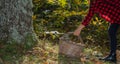 Basket full of chestnuts during the autumn harvest, aritzo Royalty Free Stock Photo