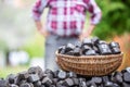 Basket full of coal briquettes on a pile with a man standing in background with arms on his waist Royalty Free Stock Photo