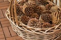 Basket full of dried pine cones to decorate home