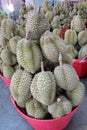 Basket full of durians at Talad Thai fruits market Royalty Free Stock Photo