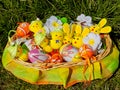 Basket full of Easter decorations sitting on the grass - Easter bunnies, Easter chicks and Easter eggs