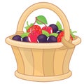 Basket full of fresh berries Royalty Free Stock Photo