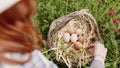 Basket full of fresh hen eggs collected in the countryside in the field