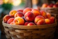 Basket full of fresh peach fruits at market