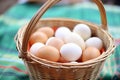 a basket full of fresh, unpasteurized eggs Royalty Free Stock Photo