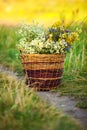 Basket Full of Fresh Wild Field Flowers