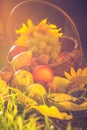 Basket full fruits grass sunset light Royalty Free Stock Photo