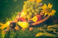 Basket full fruits grass sunset light Royalty Free Stock Photo