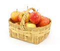 Basket full of gala apples Royalty Free Stock Photo