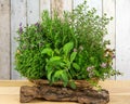 A basket full of herbs for the kitchen. Royalty Free Stock Photo
