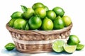 basket full of limes isolated on white background. fresh citrus fruits on white backdrop Royalty Free Stock Photo