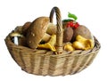 Basket full of mushrooms Royalty Free Stock Photo