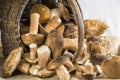 Basket full of mushrooms on a table