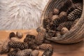 Basket full of pine cones Royalty Free Stock Photo