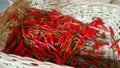 A basket full of red chillies Royalty Free Stock Photo