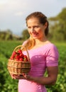 Basket full of red ripe strawberries, blurred young woman holding it, and strawberry fields in background. Royalty Free Stock Photo