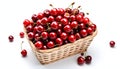 A basket full of sweet red cherries isolated on white background Royalty Free Stock Photo