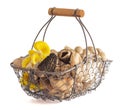 Basket full of a Variet of Different Fresh Mushrooms on a White Background Royalty Free Stock Photo