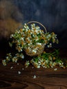 Basket full of wild flower on dark mood stillife