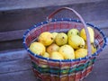 a basket of garden pears is in the garden.