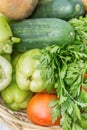 Basket with genuine fresh organic vegetables Royalty Free Stock Photo