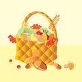 Basket Gifts of Autumn Royalty Free Stock Photo