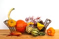 Basket of gourds on white background with copy space. Fall and haloween still life