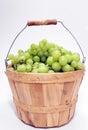 Basket of Grapes