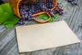 Basket with grapes beside secateurs on vintage rustic wooden table. Closeup Old paper template in centre wine making Royalty Free Stock Photo