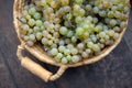 Basket with grapes on vintage rustic wooden barrel