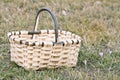 Basket on the Grass Royalty Free Stock Photo