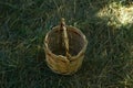 Empty Basket Green Meadow . Wicker Picnic Basket On The Fresh Summer Grass Overhead View. Weekend Resting Concept Royalty Free Stock Photo