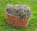 Basket with hay armful