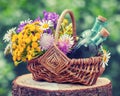 Basket with healing herbs and bottles of tincture.