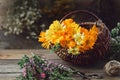 Basket of healthy calendula medicinal herbs. Marigold flowers, heather and hyssop, medicinal herbs on background.