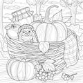 Basket with hedgehog and pumpkins.Autumn harvest.Coloring book antistress for children and adults.
