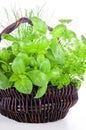 Basket of herbs