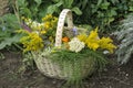Basket with herbs