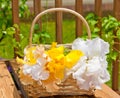 Basket with irises garden flowers