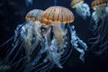 basket of jellyfish and cnidarians in shallow water, waves lapping at the shore