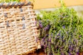 Basket with lavender flowers and blur background. Royalty Free Stock Photo