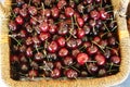 Basket of luscious red cherries. Royalty Free Stock Photo