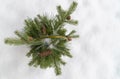 Basket made of wooden rods with fresh fir branches and cones. selective focus. basket stands on natural white snow. Royalty Free Stock Photo